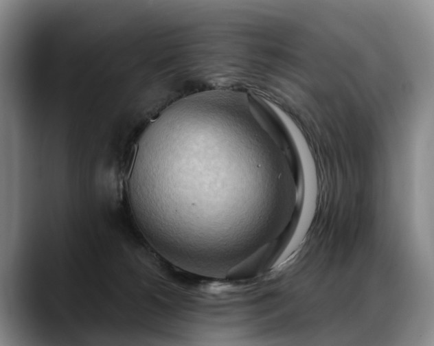 X0000088490180200705291655
