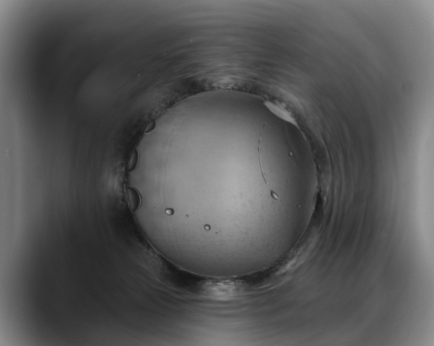 X0000088490181200705291655