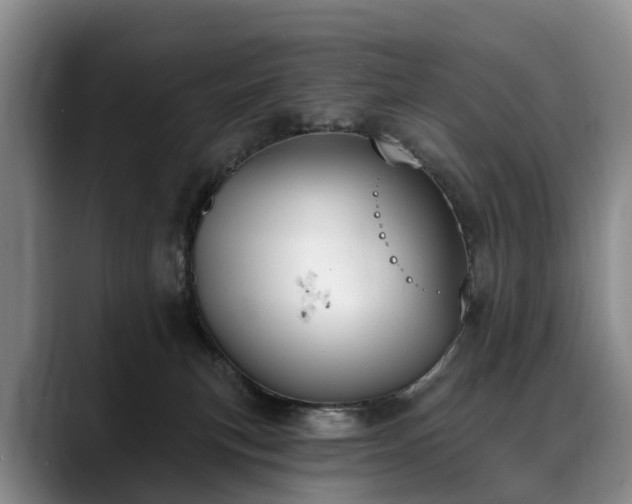 X0000088490183200705291655
