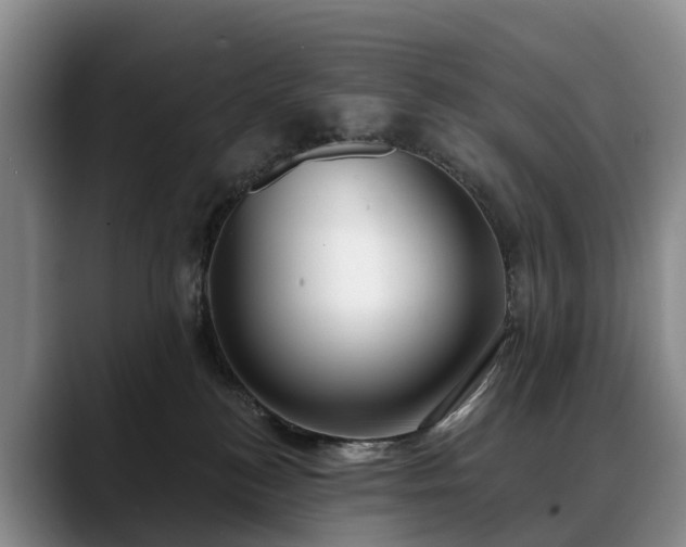 X0000088490184200705291655
