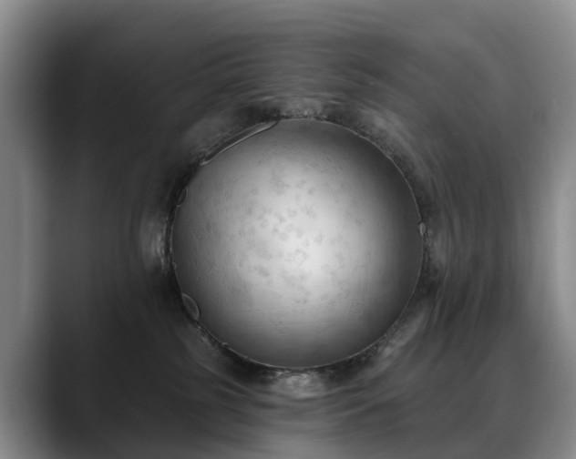 X0000088490185200705291655