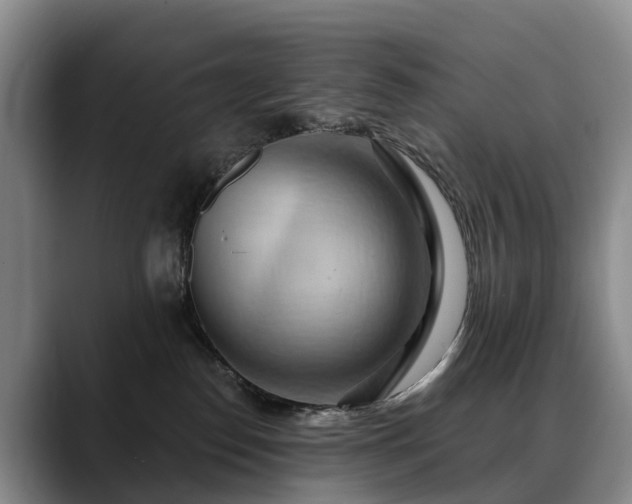 X0000088490186200705291655