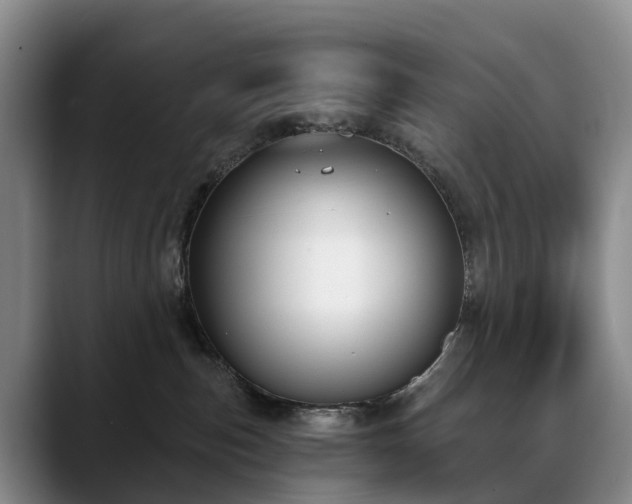 X0000088490187200705291655