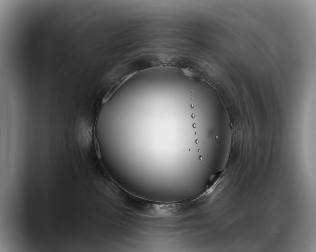 X0000088490188200705291655