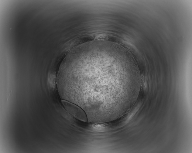 X0000088490189200705291655