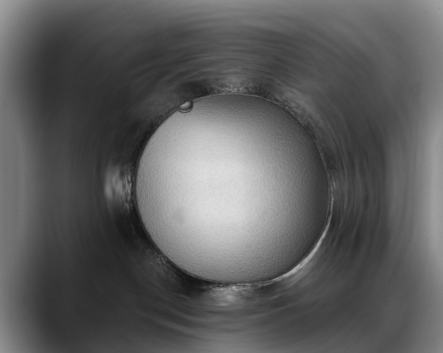 X0000088490190200705291655