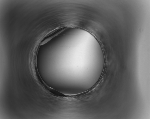 X0000088490193200705291655