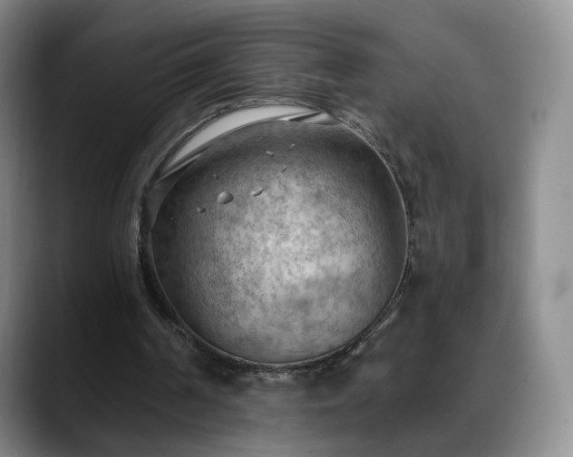 X0000088490194200705291655