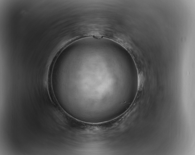 X0000088490195200705291655