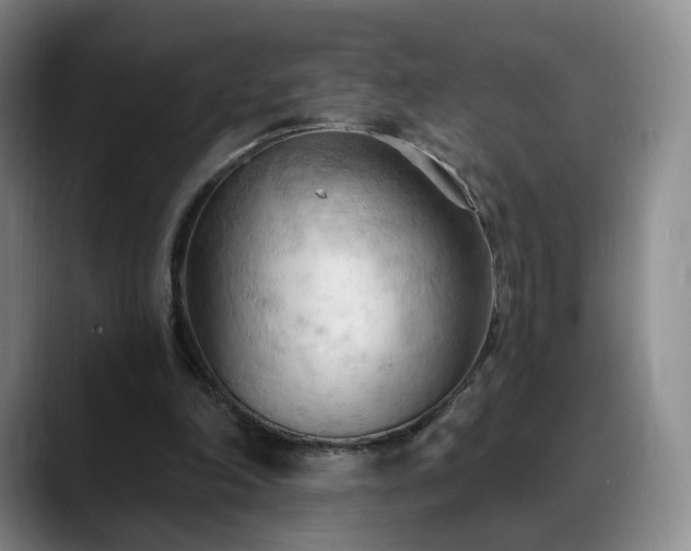 X0000088490198200705291654