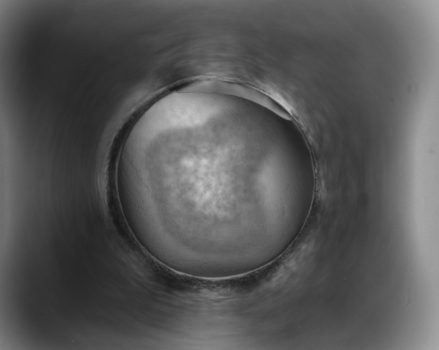 X0000088490199200705291654