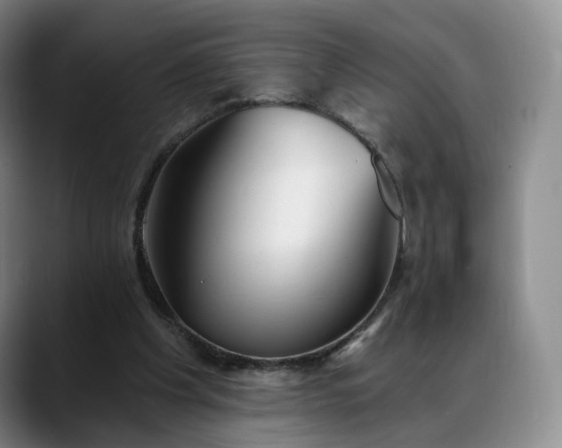 X0000088490201200705291654