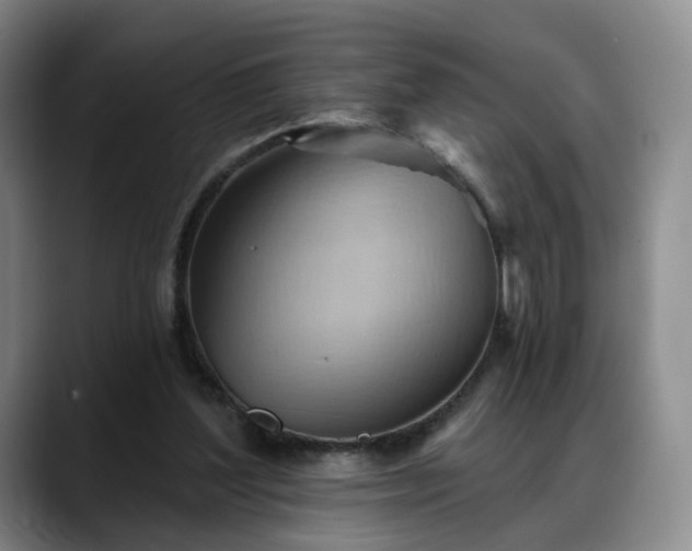X0000088490204200705291654