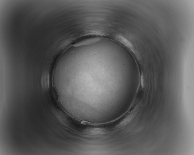 X0000088490205200705291654