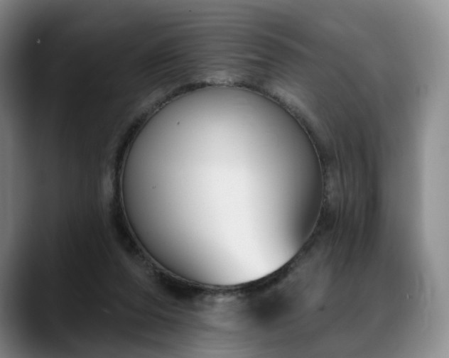 X0000088490208200705291654