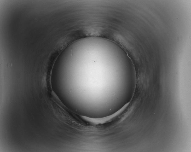X0000088490209200705291654