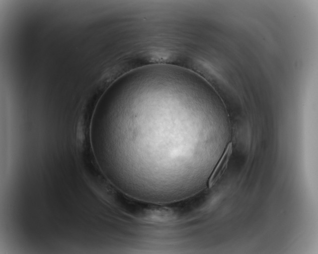 X0000088490215200705291654
