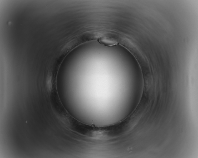 X0000088490216200705291654