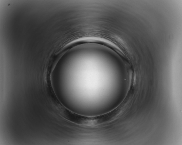 X0000088490217200705291654