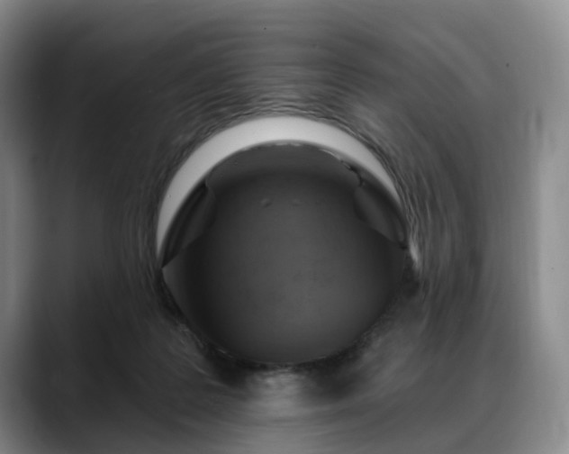 X0000088490219200705291654