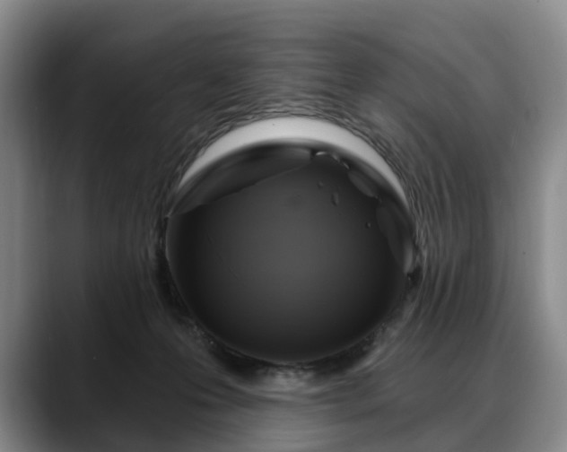 X0000088490223200705291654