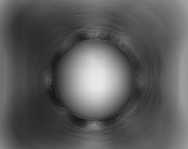 X0000088490226200705291654