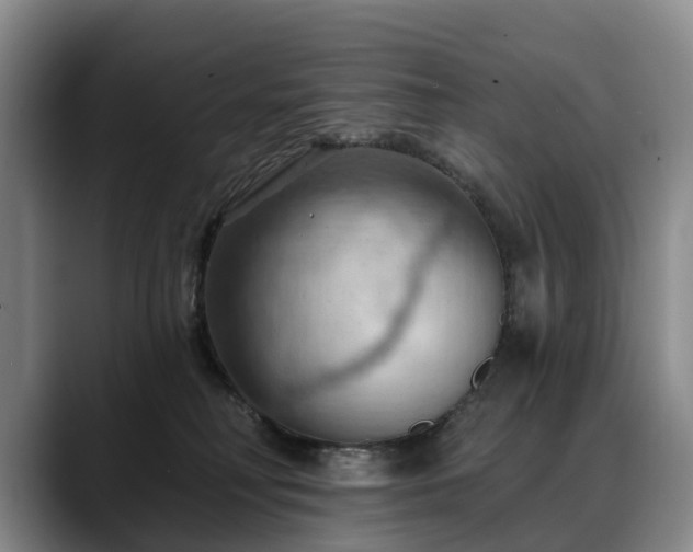 X0000088490230200705291654