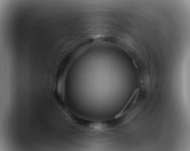 X0000088490231200705291654