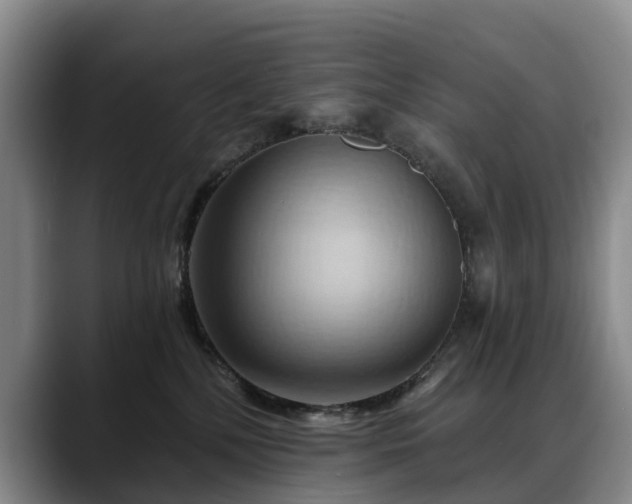 X0000088490232200705291654