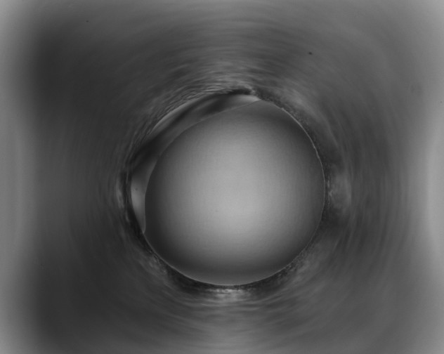 X0000088490233200705291654