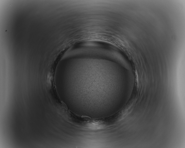 X0000088490235200705291654
