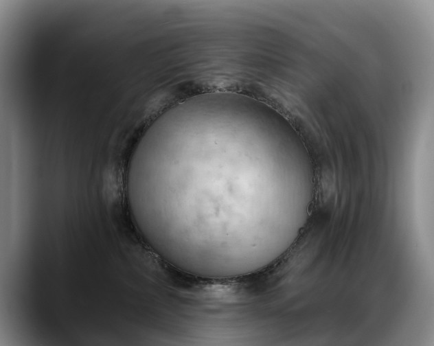 X0000088490236200705291654