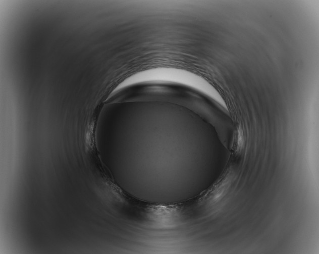 X0000088490239200705291654