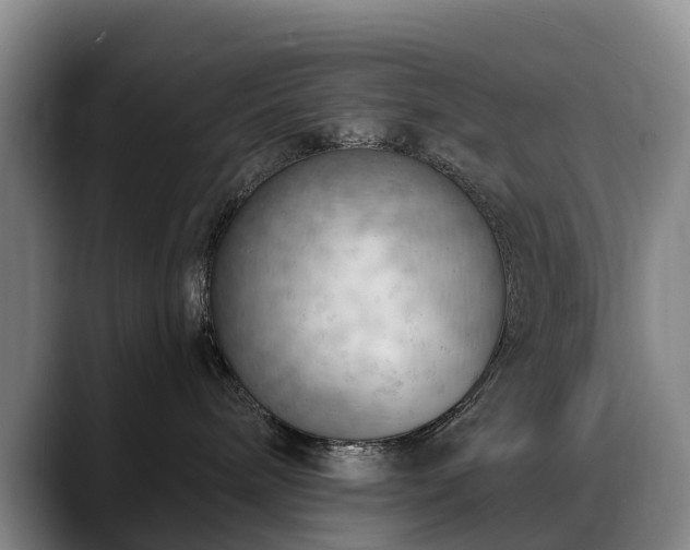 X0000088490240200705291654