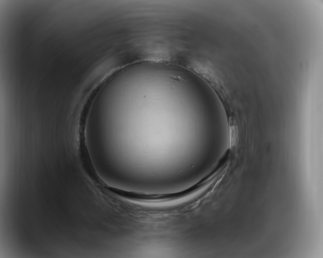 X0000088490243200705291653