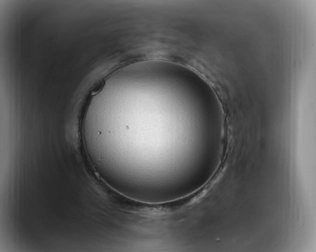 X0000088490245200705291653