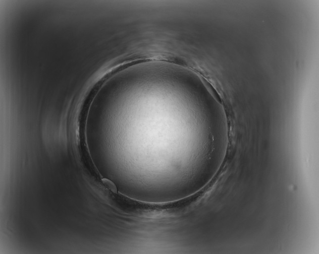 X0000088490246200705291653