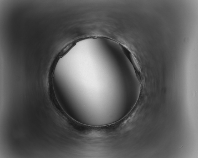 X0000088490248200705291653