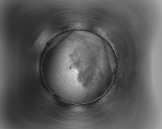 X0000088490249200705291653