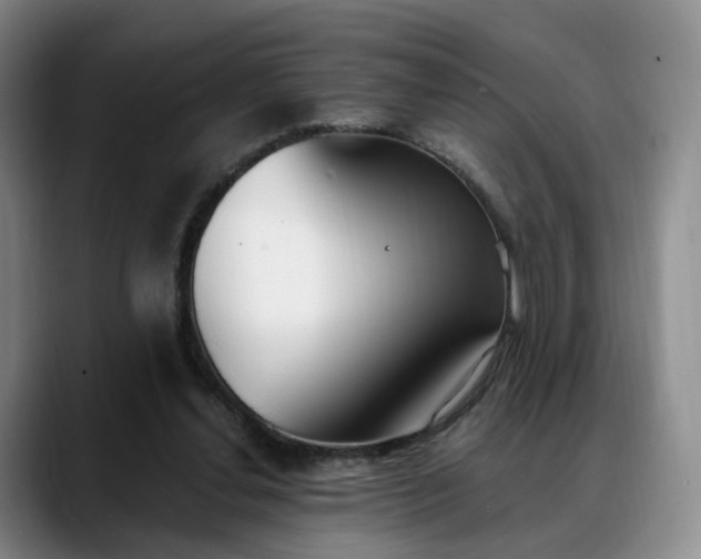 X0000088490252200705291653