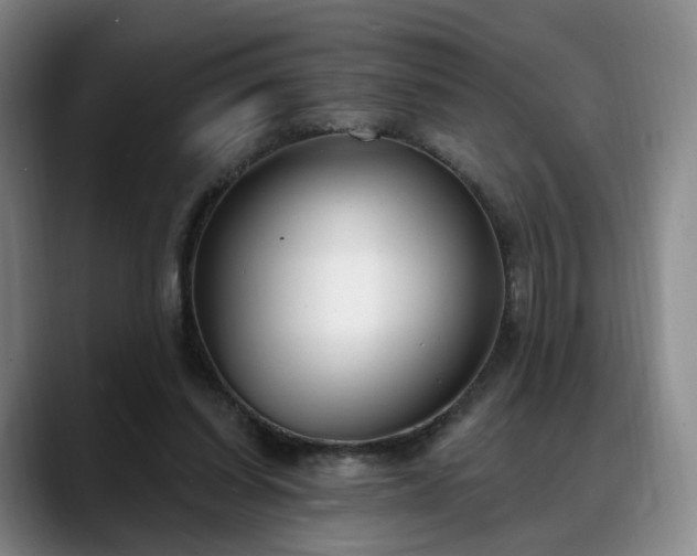X0000088490254200705291653