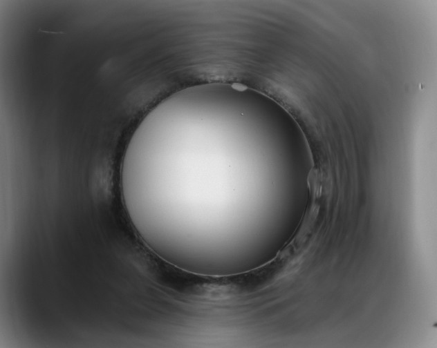 X0000088490255200705291653