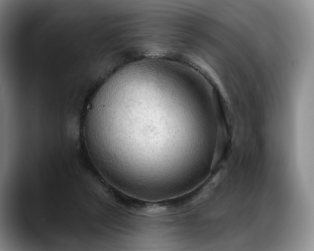 X0000088490257200705291654