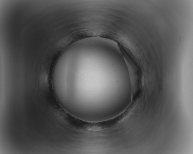 X0000088490258200705291654