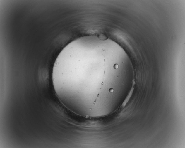 X0000088490260200705291654