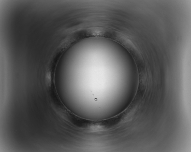 X0000088490262200705291654