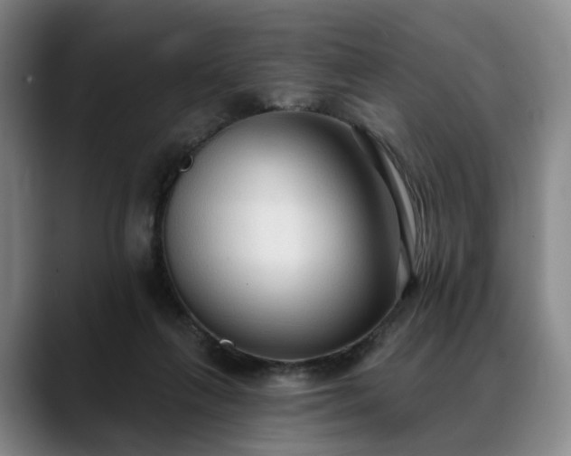 X0000088490263200705291654
