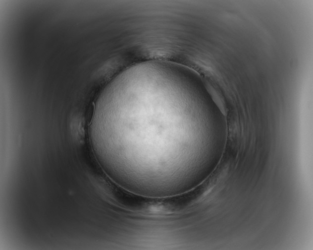 X0000088490264200705291654
