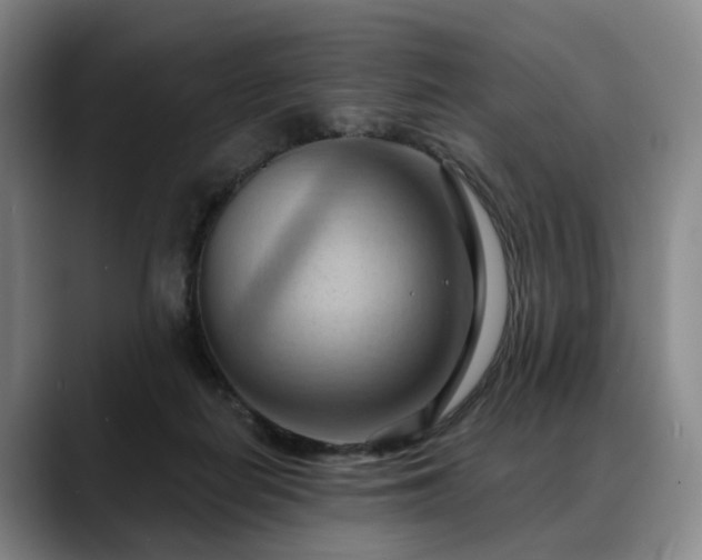 X0000088490266200705291654