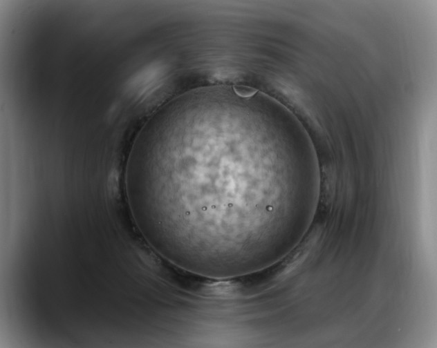 X0000088490269200705291654